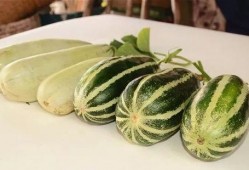 网红吃瓜风格是否独特,揭秘网红吃瓜界的独特风格达人